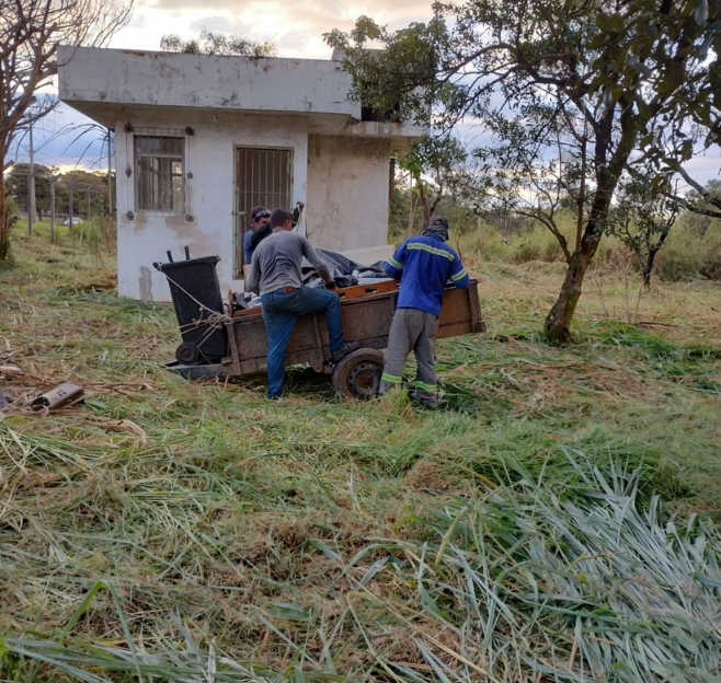 Limpeza e manutenção de jardim de grande area empresarial em Sorocaba