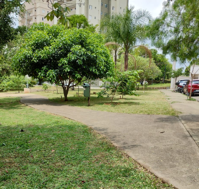 Limpeza e manutenção de jardim residencial e empresarial em Sorocaba