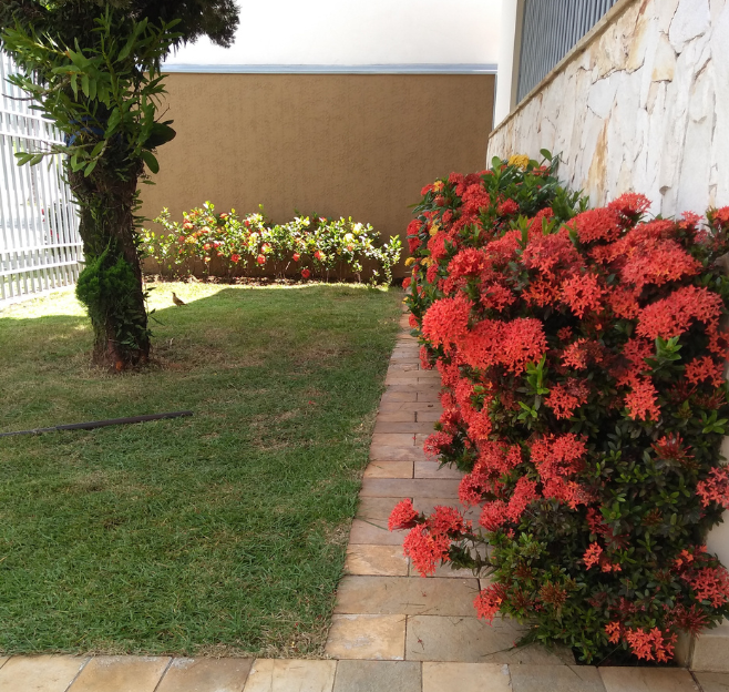 Limpeza e manutenção de jardim residencial em Sorocaba