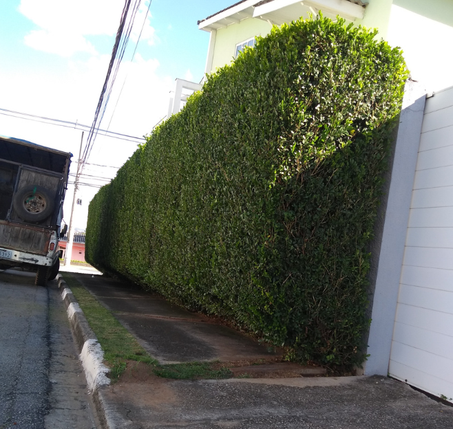 Manutenção de jardim em condomínio em Sorocaba