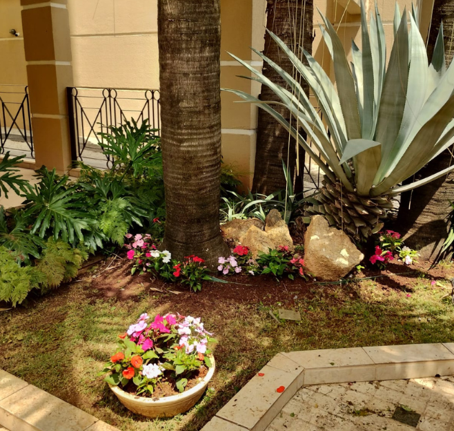 Manutenção de jardim em residencia em Sorocaba