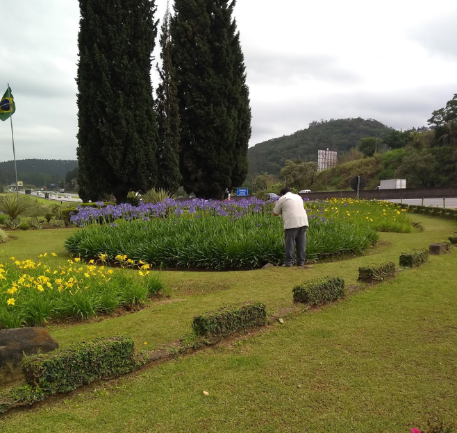 Paisagismo e jardinagem em área corporativa e empresarial em Sorocaba