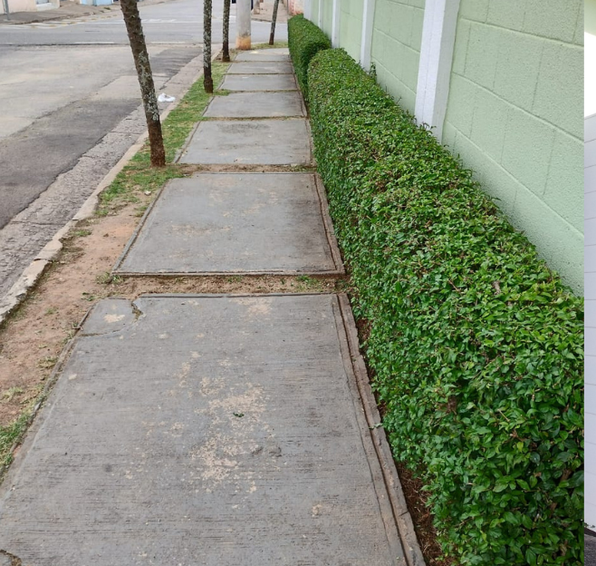 Paisagismo em área corporativa e empresarial em Sorocaba