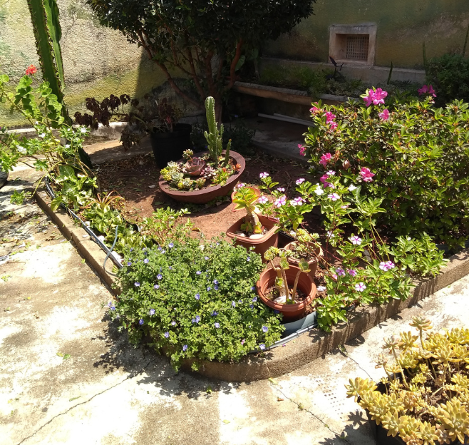 Projeto de paisagismo em condomínio em Sorocaba