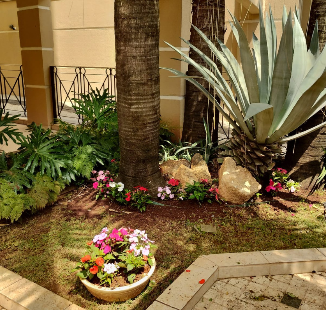 Projeto de paisagismo residencial executado em Sorocaba
