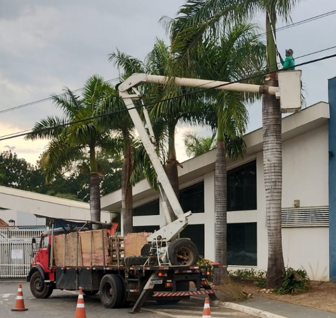 Poda de árvore de grande porte com caminhão munck em Sorocaba