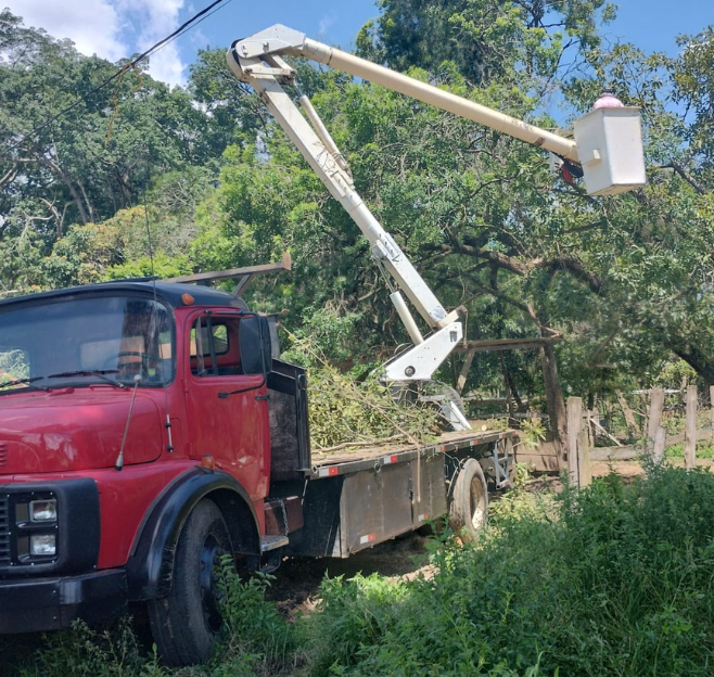 Poda de árvore de grande porte com caminhão munck em Sorocaba